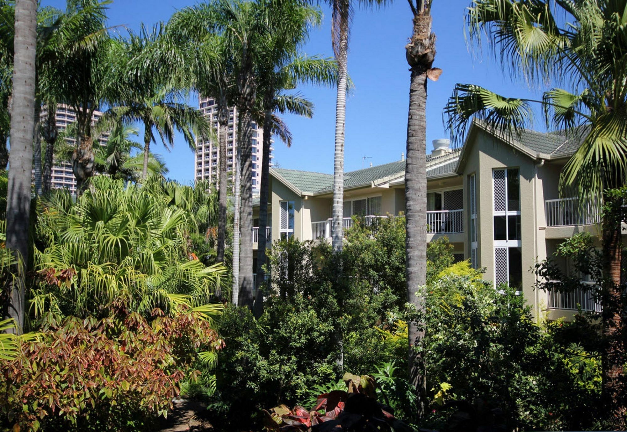Mari Court Resort Gold Coast Buitenkant foto